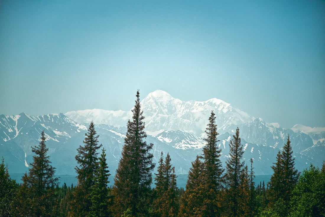 Exploring Denali: A Majestic Encounter with Alaska’s Tallest Peak