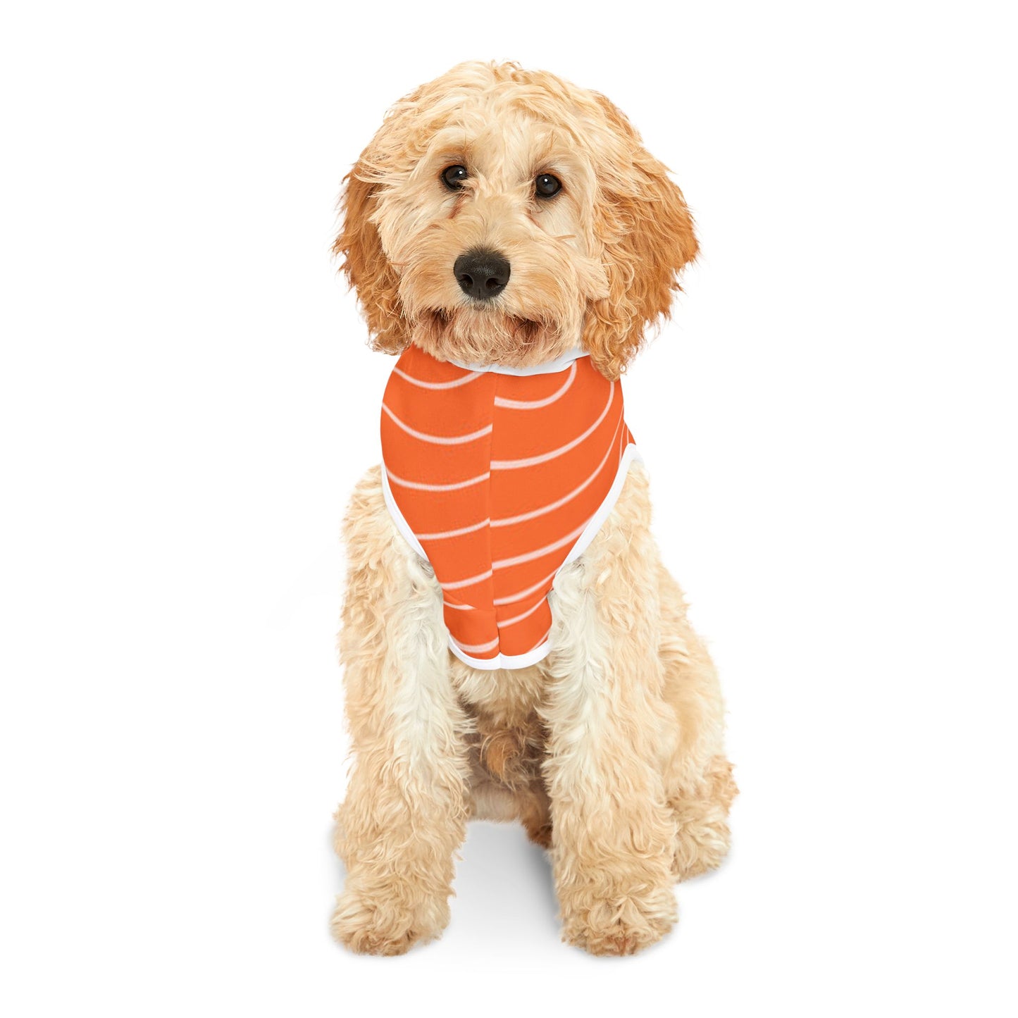 Topographic Salmon Pet Hoodie