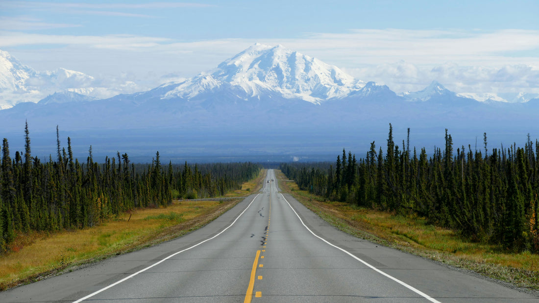 Tales from the Trails: Hiking Adventures in the Alaskan Wilderness