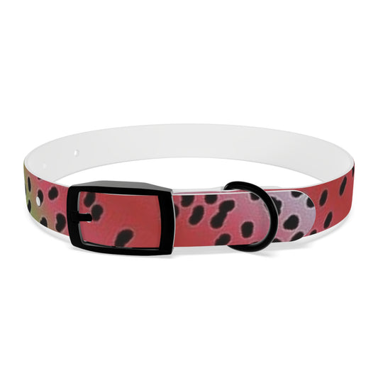 Rainbow Trout Dog Collar