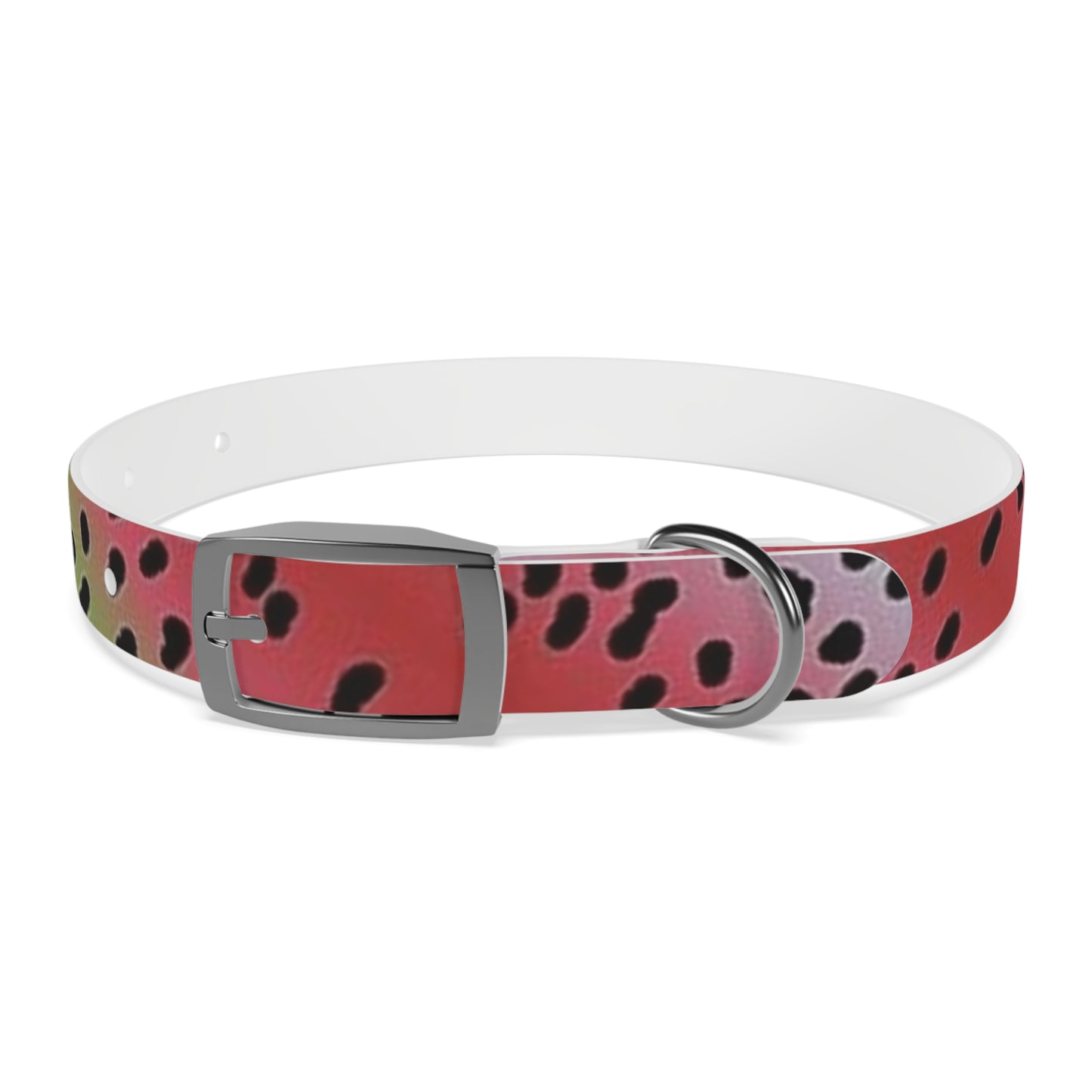 Rainbow Trout Dog Collar