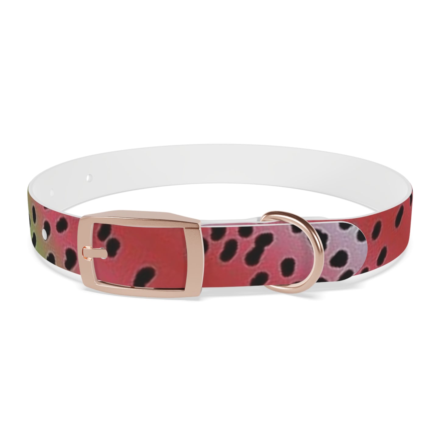 Rainbow Trout Dog Collar