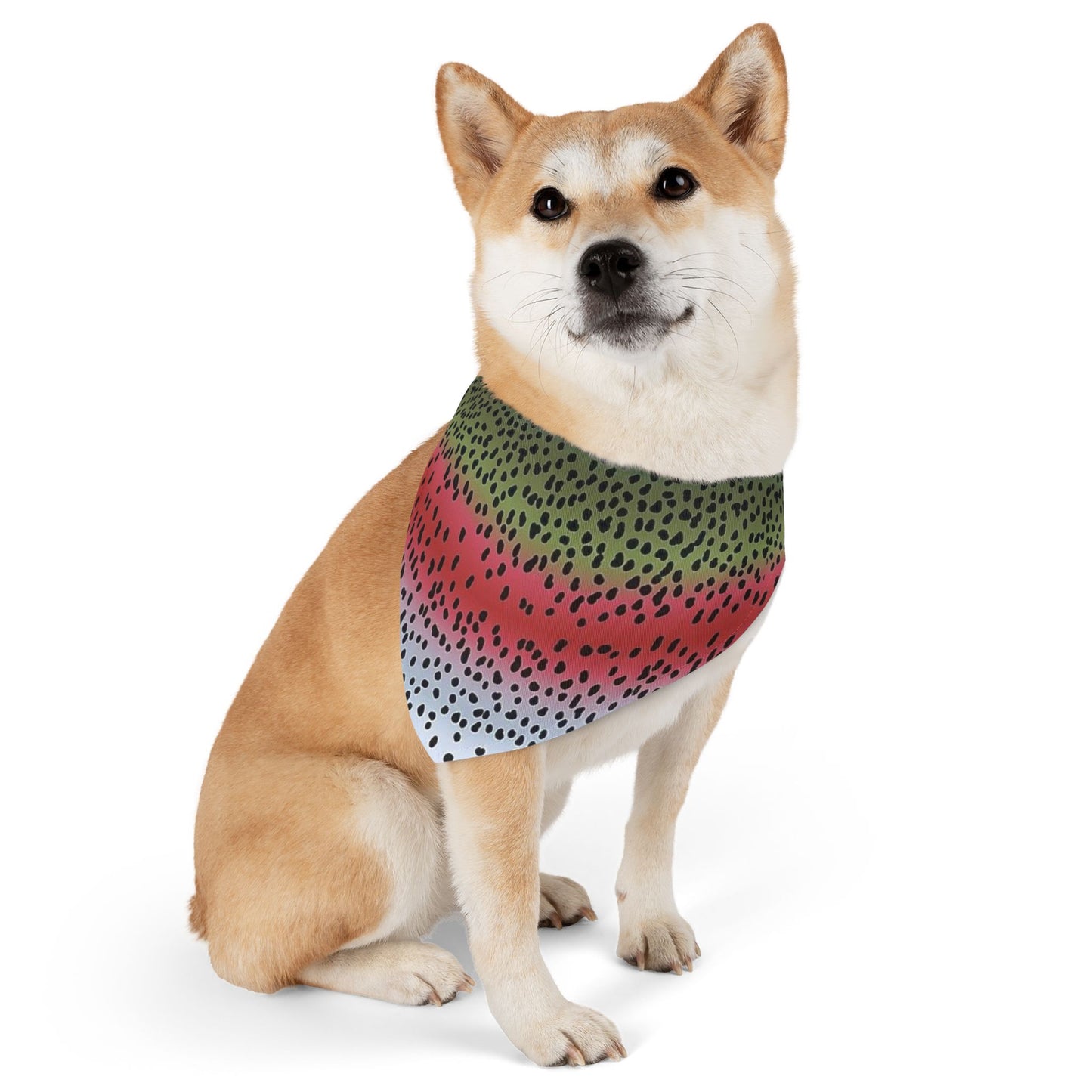 Rainbow Trout Pet Bandana Collar