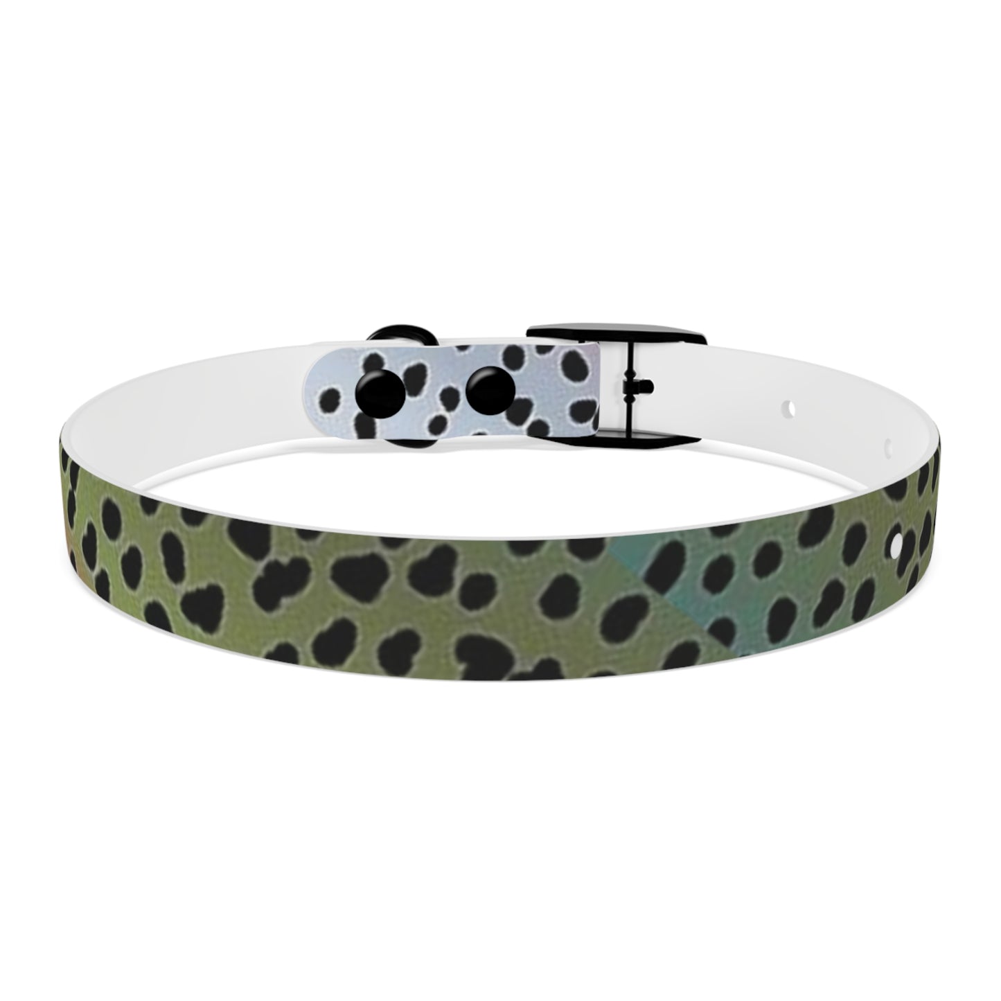 Rainbow Trout Dog Collar