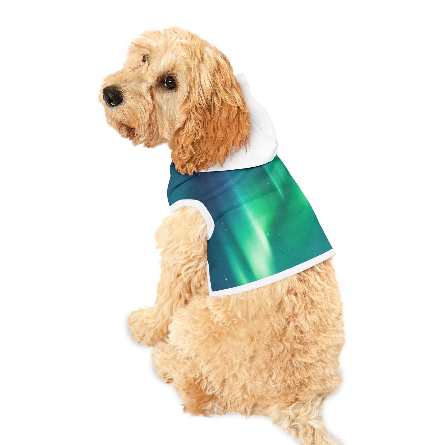 Norther Lights Pet Hoodie