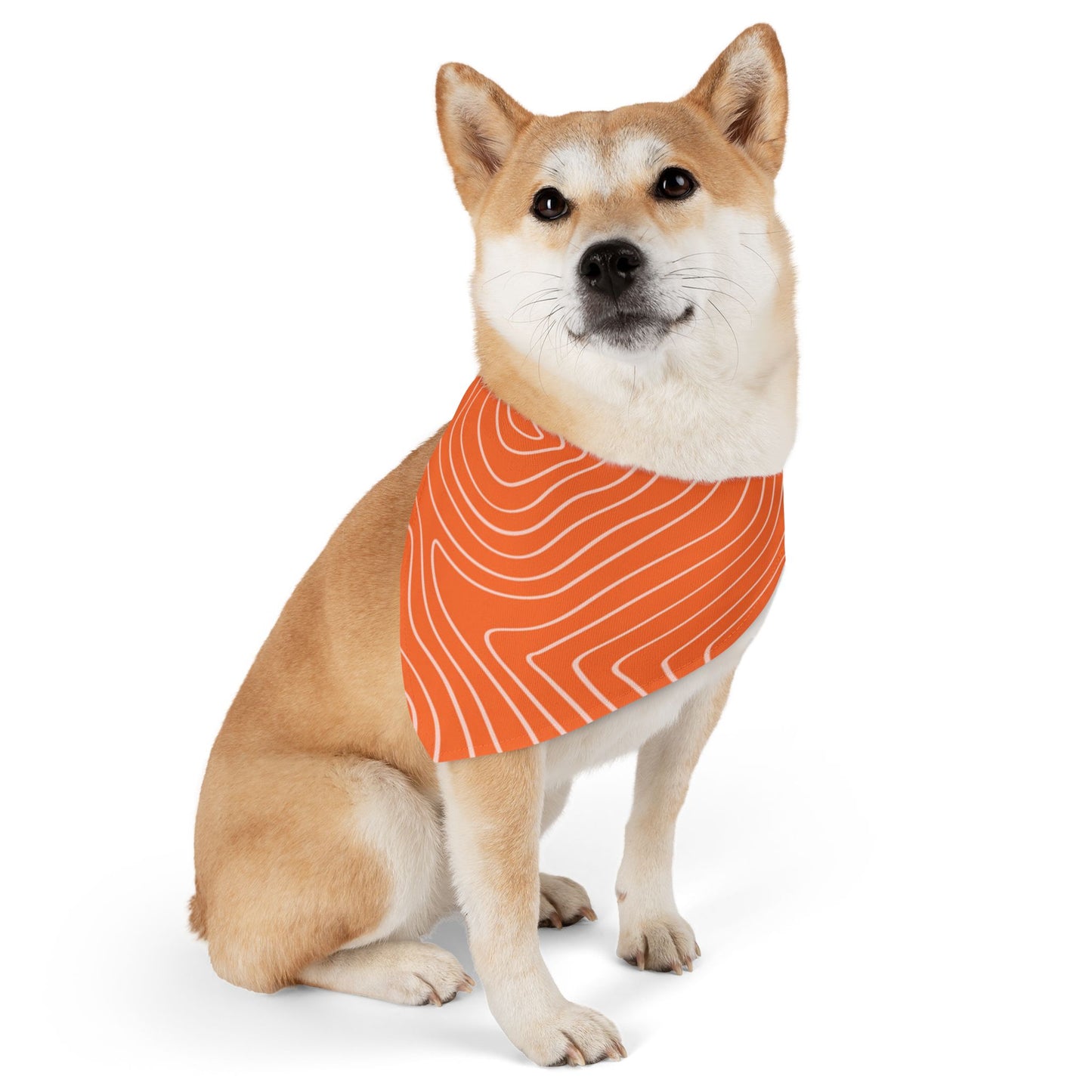 Topographic Salmon Pet Bandana Collar