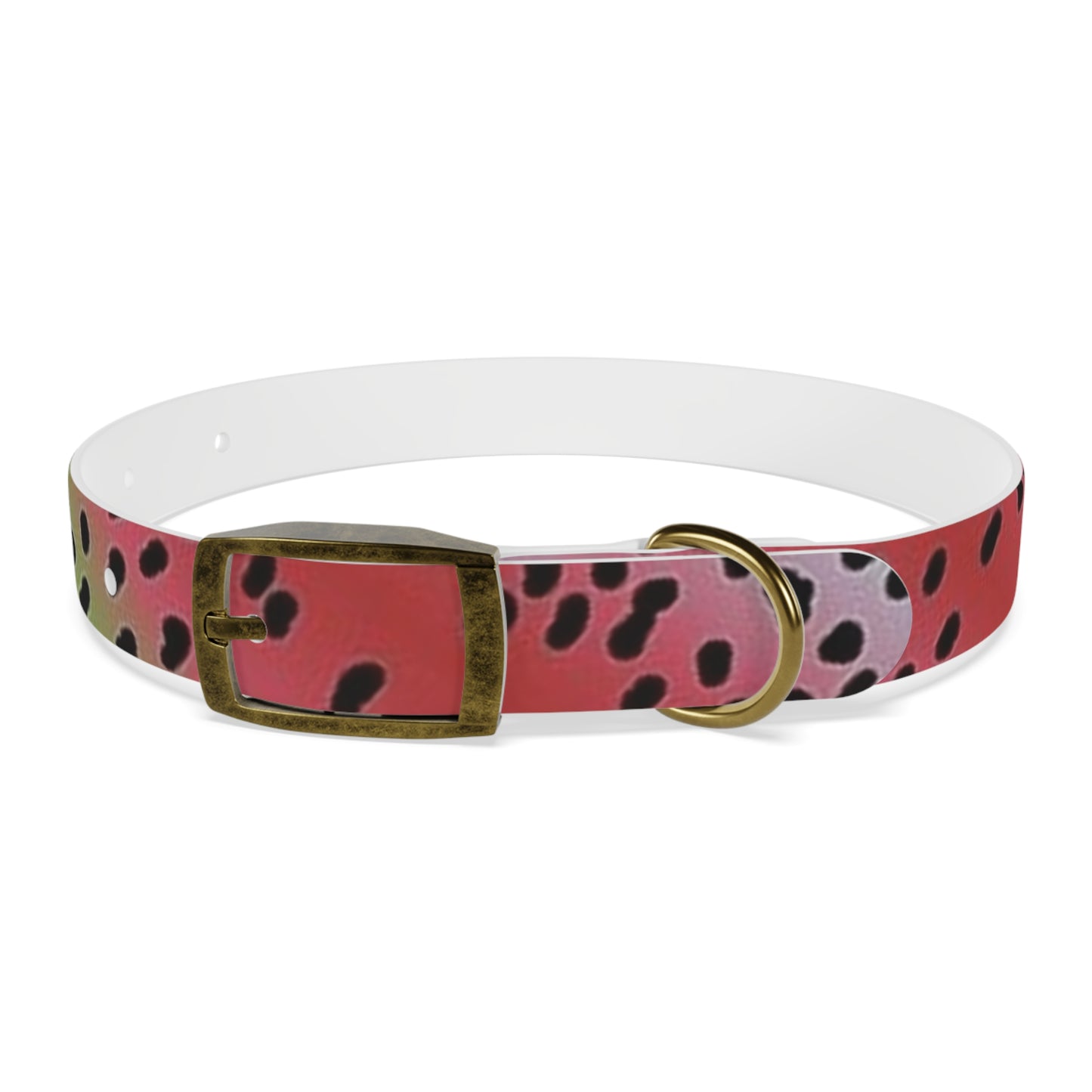 Rainbow Trout Dog Collar