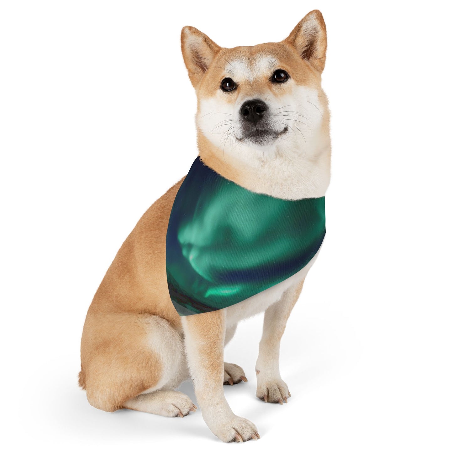 Northern Lights Pet Bandana Collar