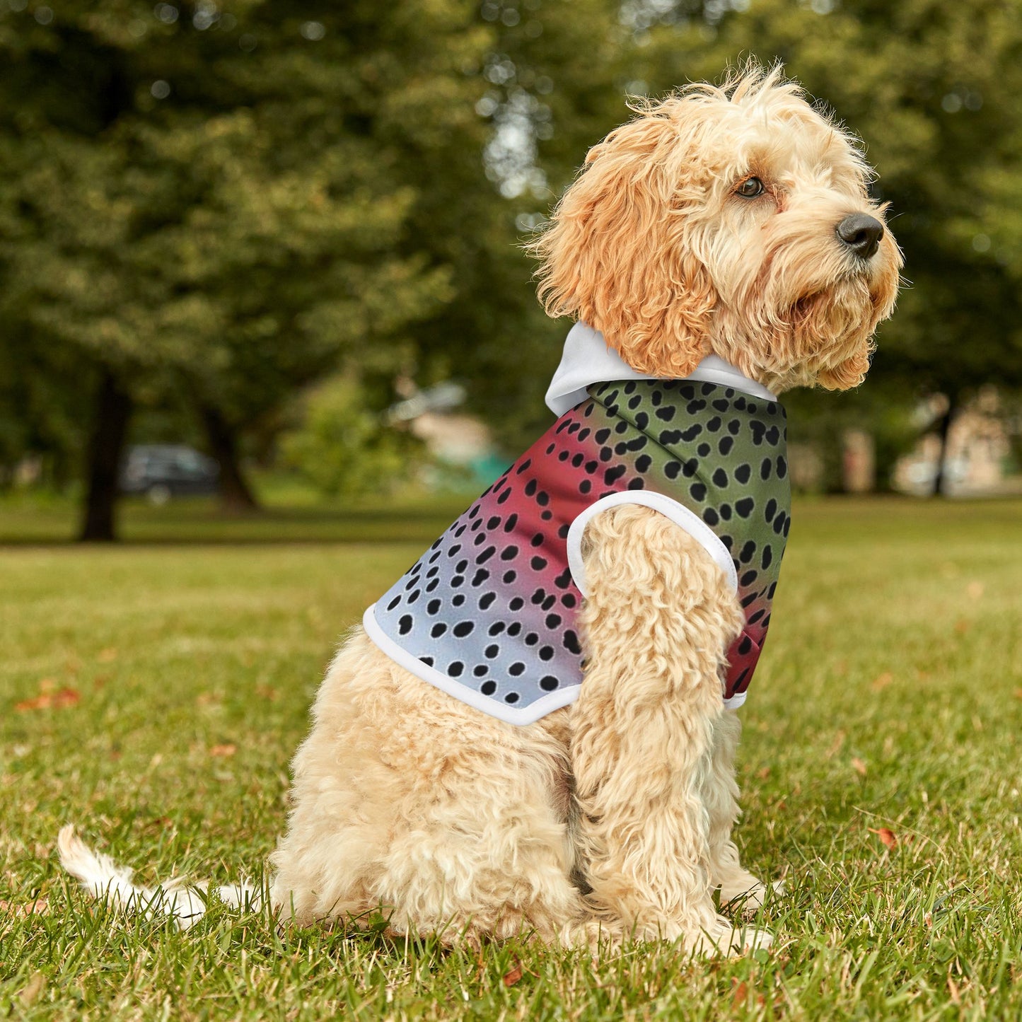 Rainbow Trout Pet Hoodie