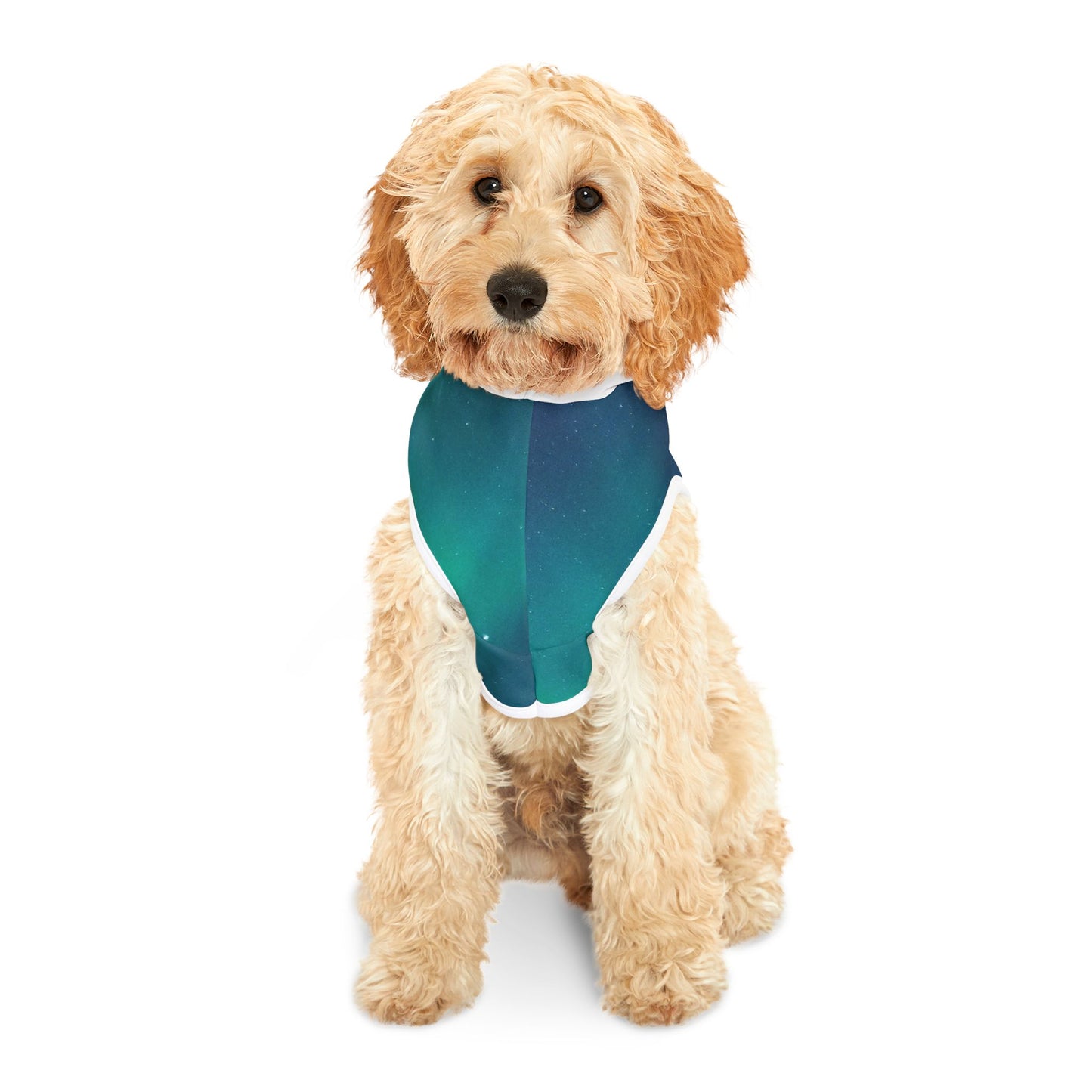 Norther Lights Pet Hoodie